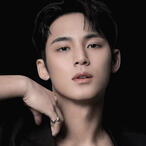 Kim Mingyu